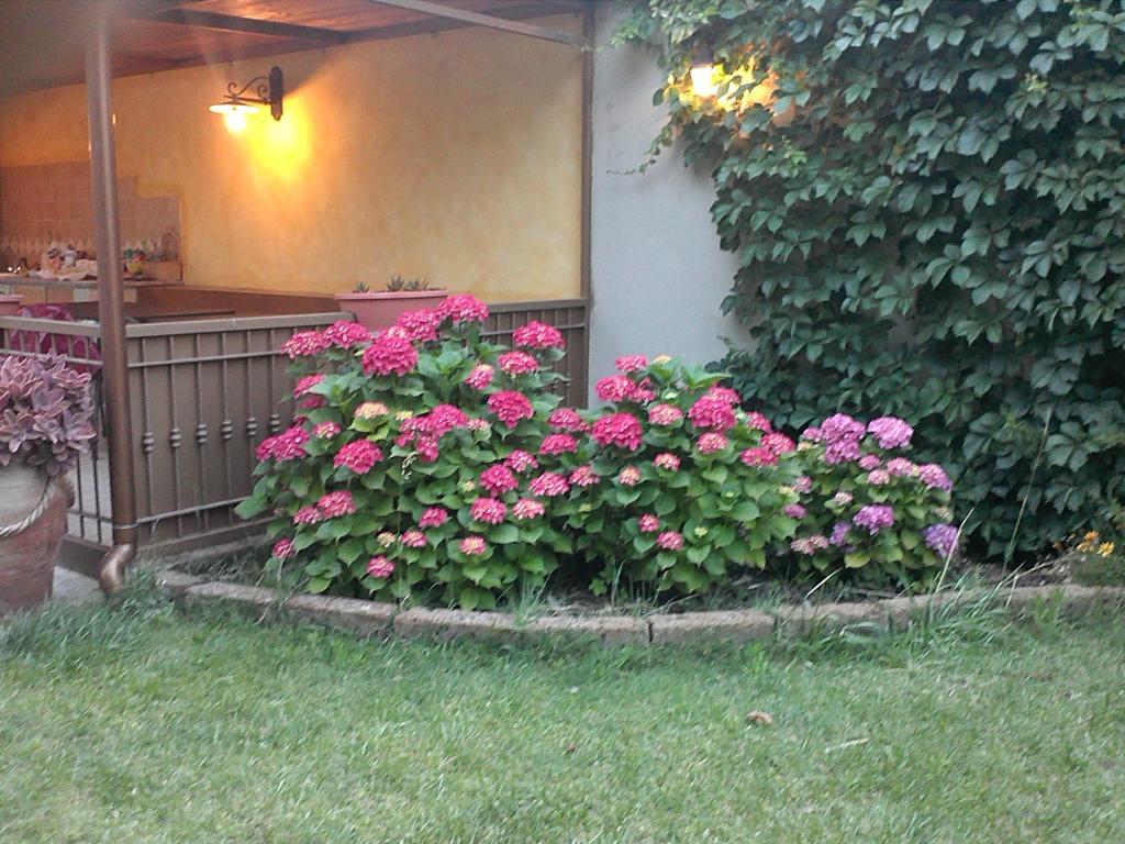 Doria Apartamento Valledoria (Sardinia)