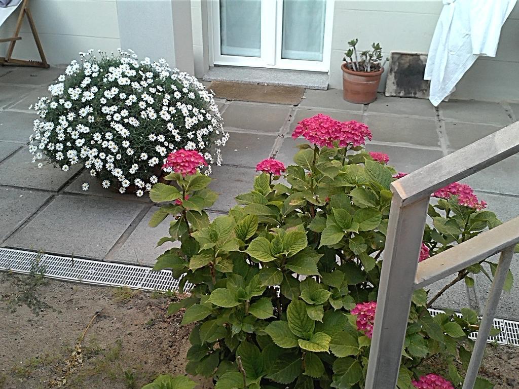 Apartment Doria
